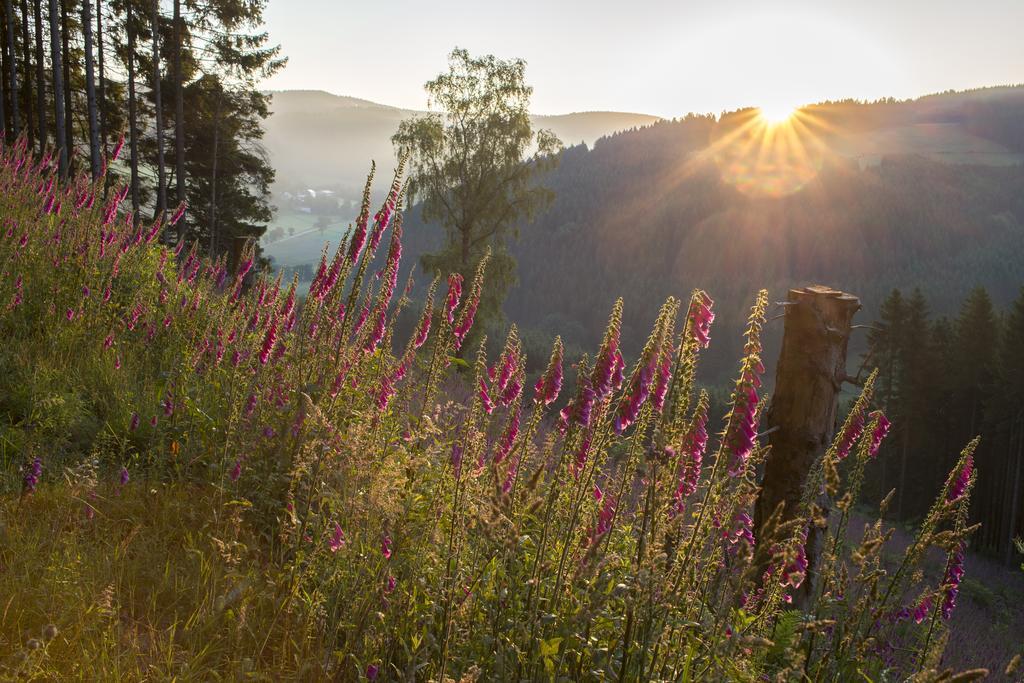 Landhaus Zum Sorpetal Hotel Schmallenberg Bagian luar foto