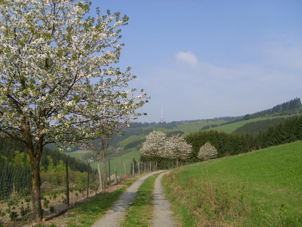 Landhaus Zum Sorpetal Hotel Schmallenberg Bagian luar foto