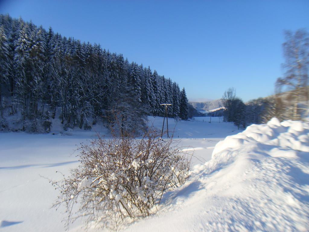 Landhaus Zum Sorpetal Hotel Schmallenberg Bagian luar foto