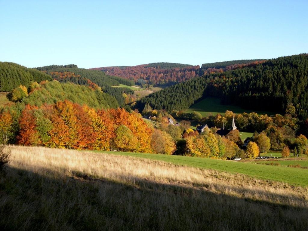 Landhaus Zum Sorpetal Hotel Schmallenberg Bagian luar foto